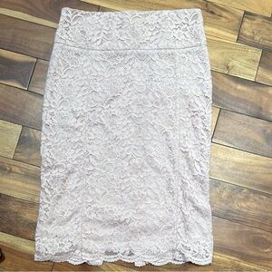 Express Delicate Light Pink Lace Pencil Skirt